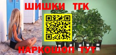 соль ск Будённовск
